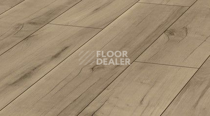 Ламинат Kronotex Exquisit 8мм d4697 Орех Валлис фото 1 | FLOORDEALER